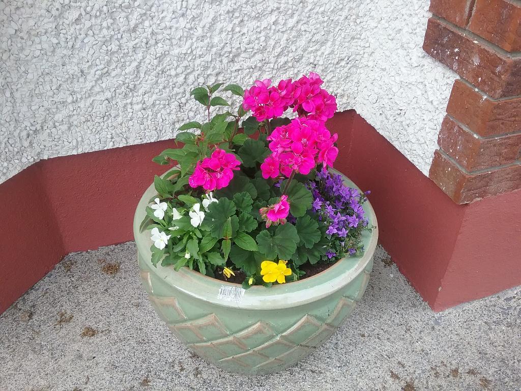 Rocksberry Bed & Breakfast Castlebar Eksteriør billede